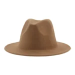 Chapeau fedora sans ornement